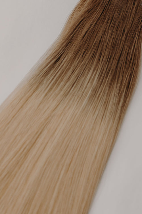 Golden Elm