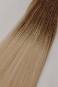 Golden Elm