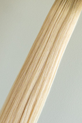 Vanilla Birch | K-Tip